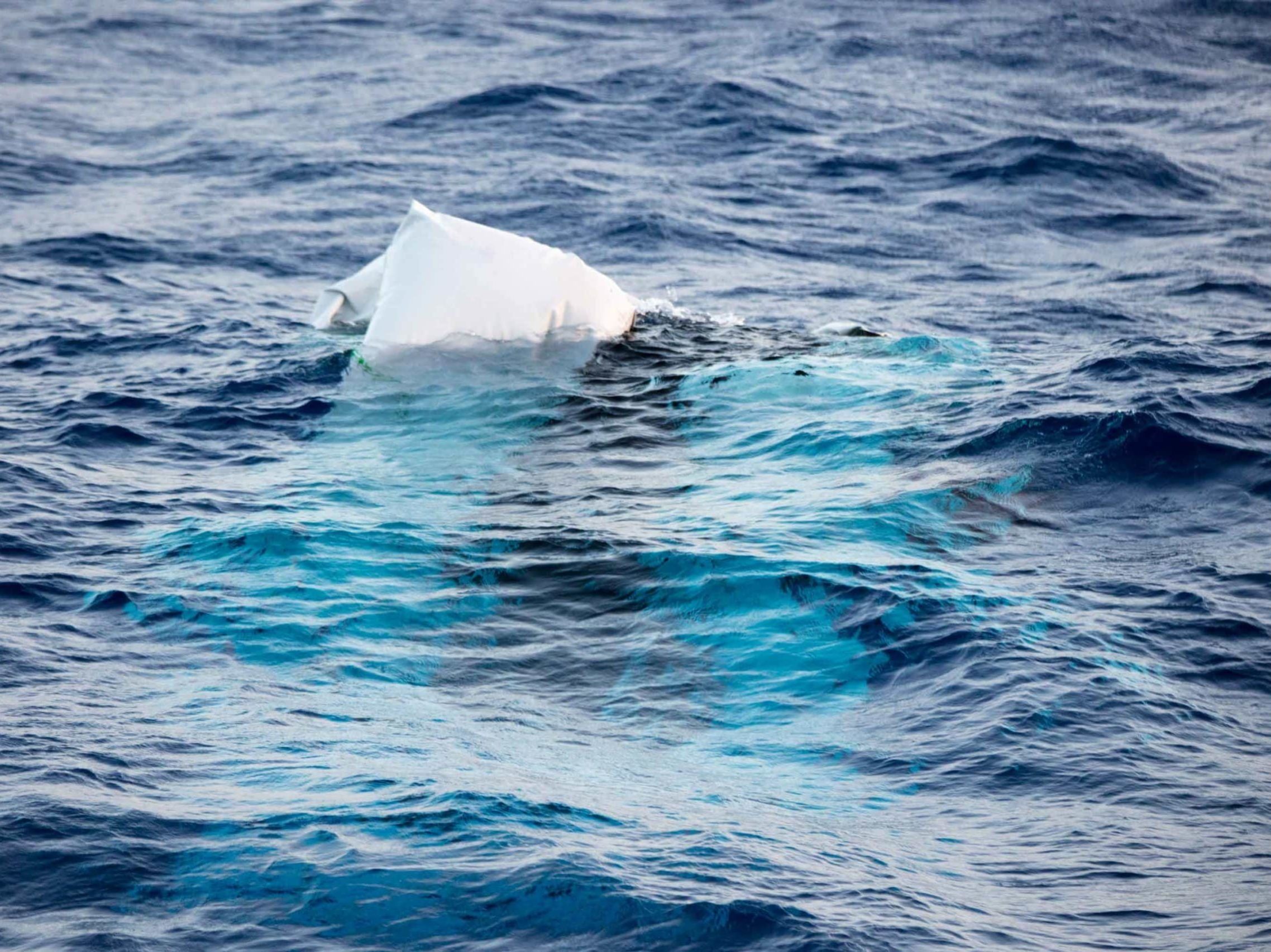 Photo: Erik Marquardt