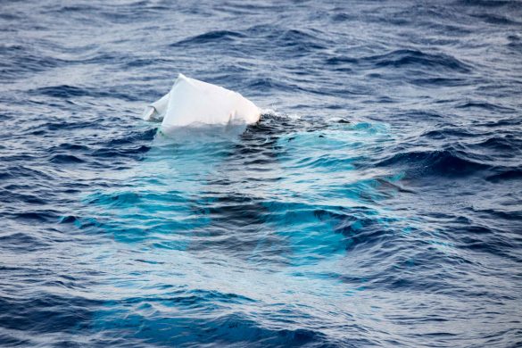 Photo: Erik Marquardt