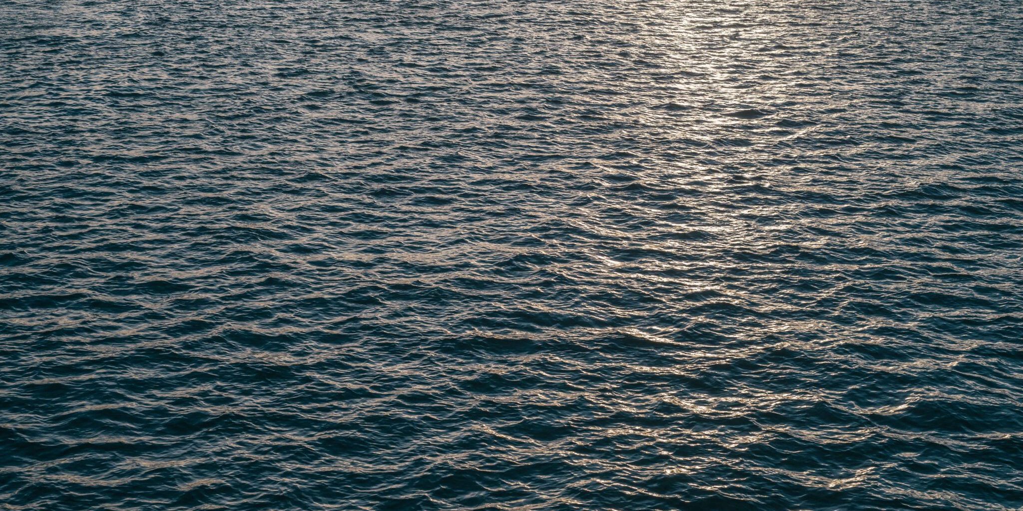190317_PaulLovisWagner_29