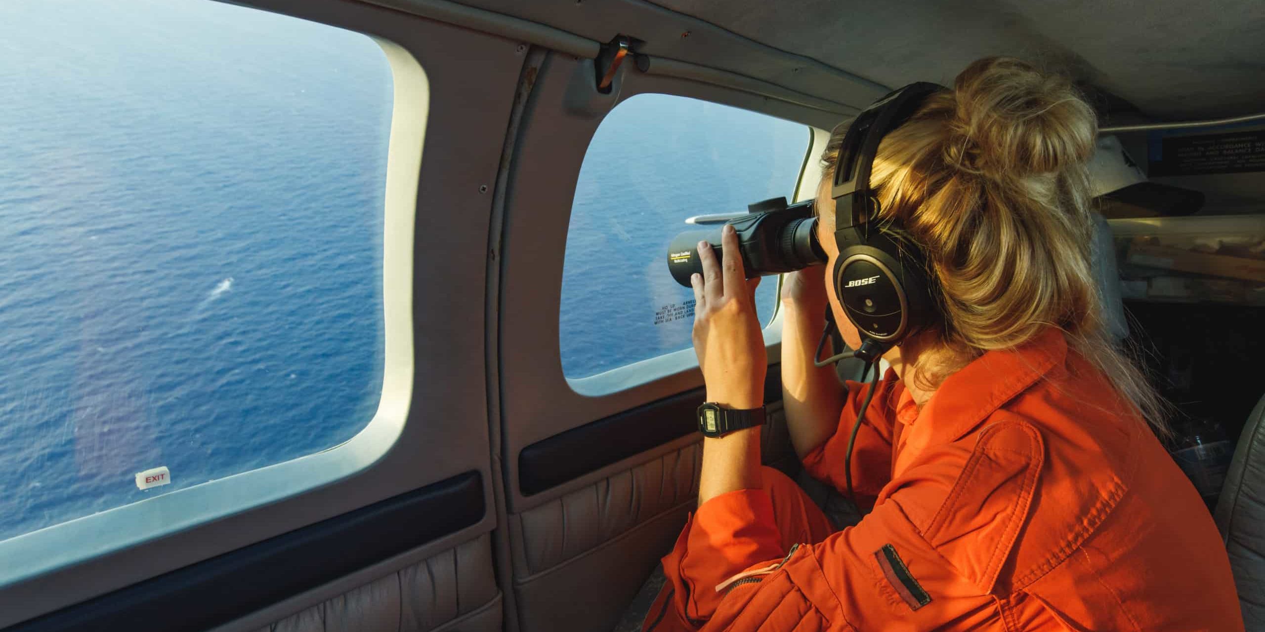 Foto: David Lohmueller Spotting from Seabird over the Mediterranean Sea