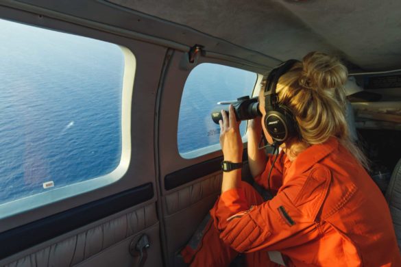 Spotting from Seabird over the Mediterranean Sea