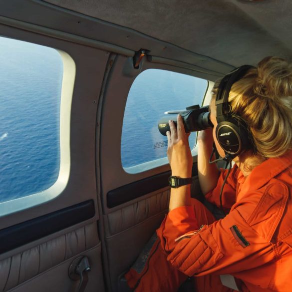 Spotting from Seabird over the Mediterranean Sea