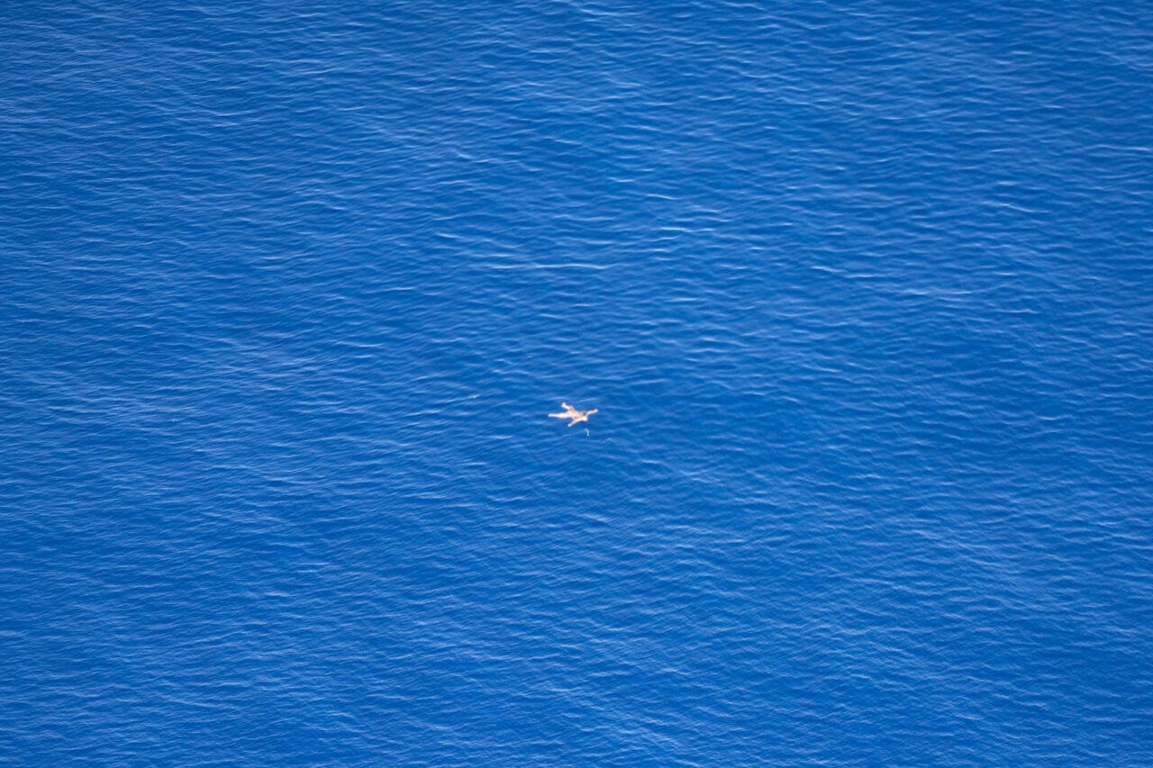 14 Leichen im Mittelmeer gefunden • Sea-Watch e.V.